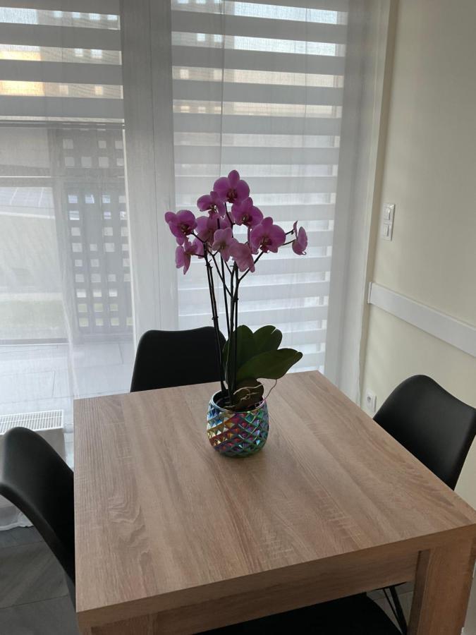 Appartamento Apartament „Dwie Wieze” Katowice Esterno foto